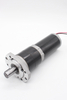Frank 24V-110V low speed high torque Planetary permanent magnet DC reduction motor DC GEAR MOTOR