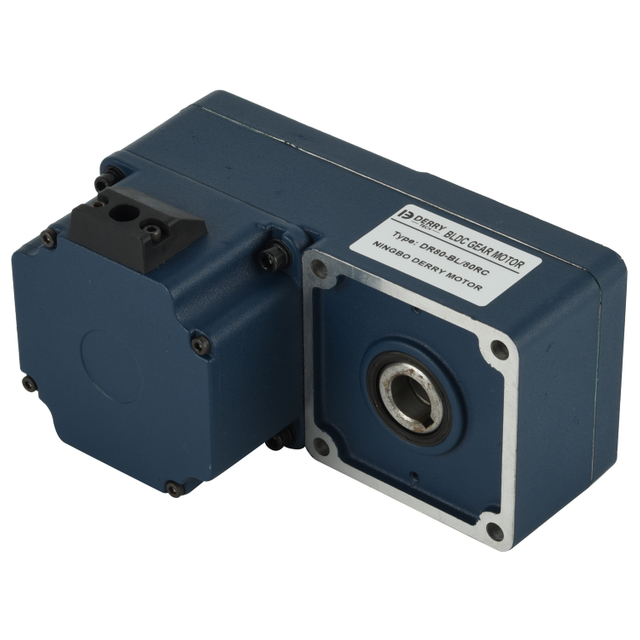 Brushless DC Gear Motor with hollow output shaft