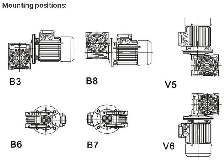 QQ截图20240202112542