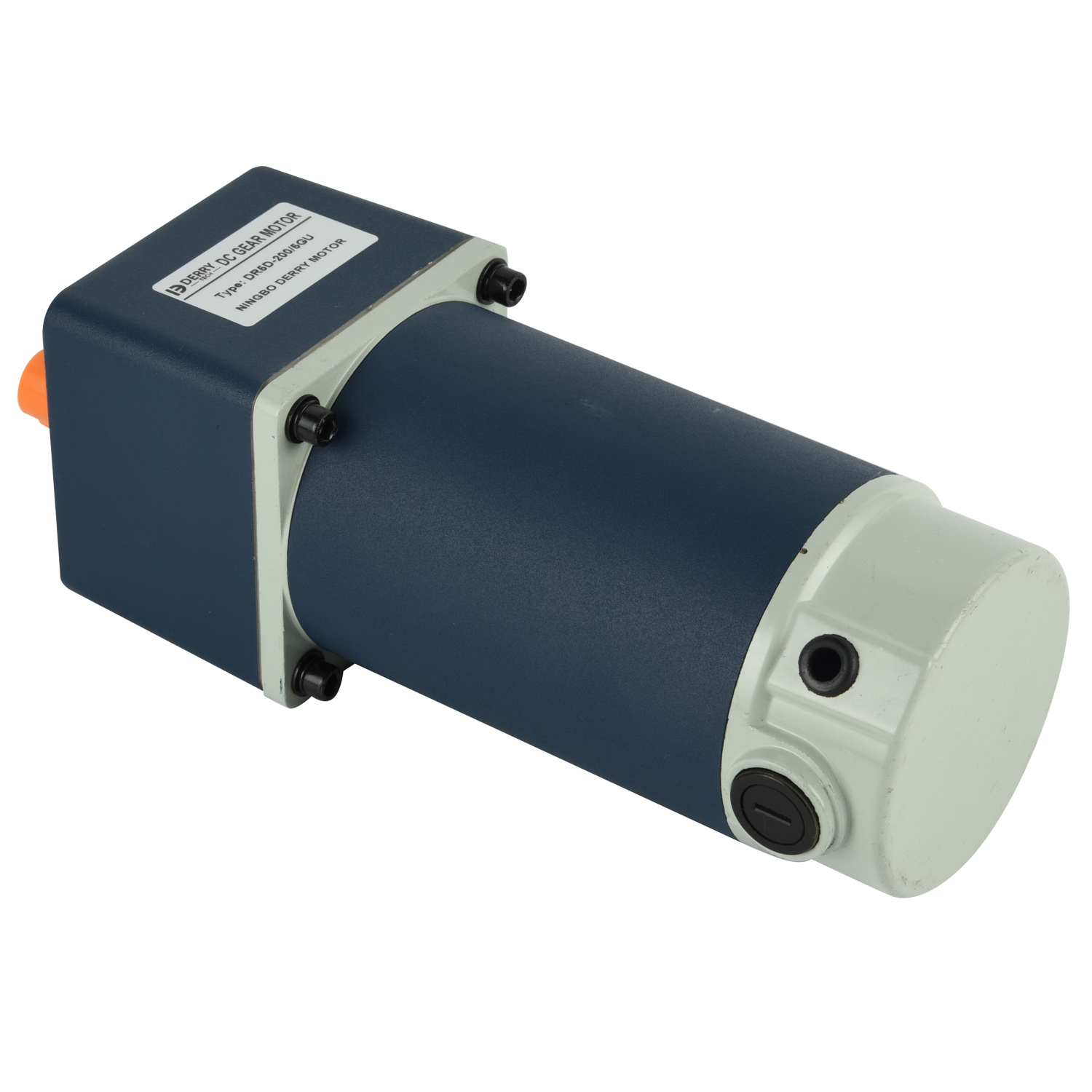 12V 24V200W 250W Universal PMDC Gear Motor for food machine