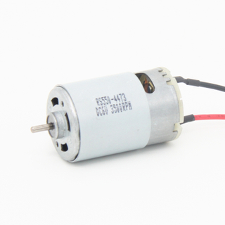12Volt 24Volt RS550 RS545 Micro DC Motor