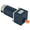 12V 24V200W 250W Universal PMDC Gear Motor for food machine