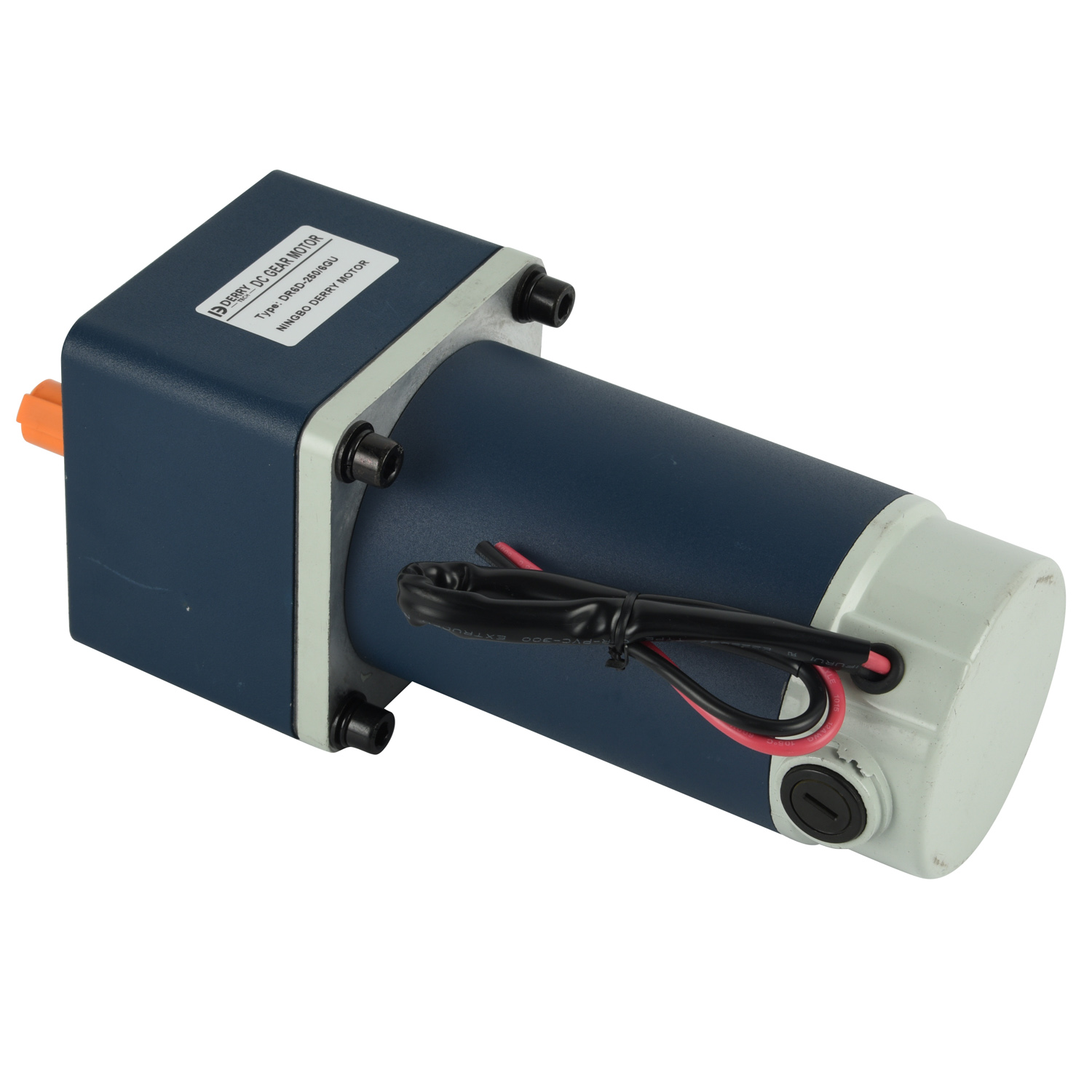 12V 24V200W 250W Universal PMDC Gear Motor for food machine