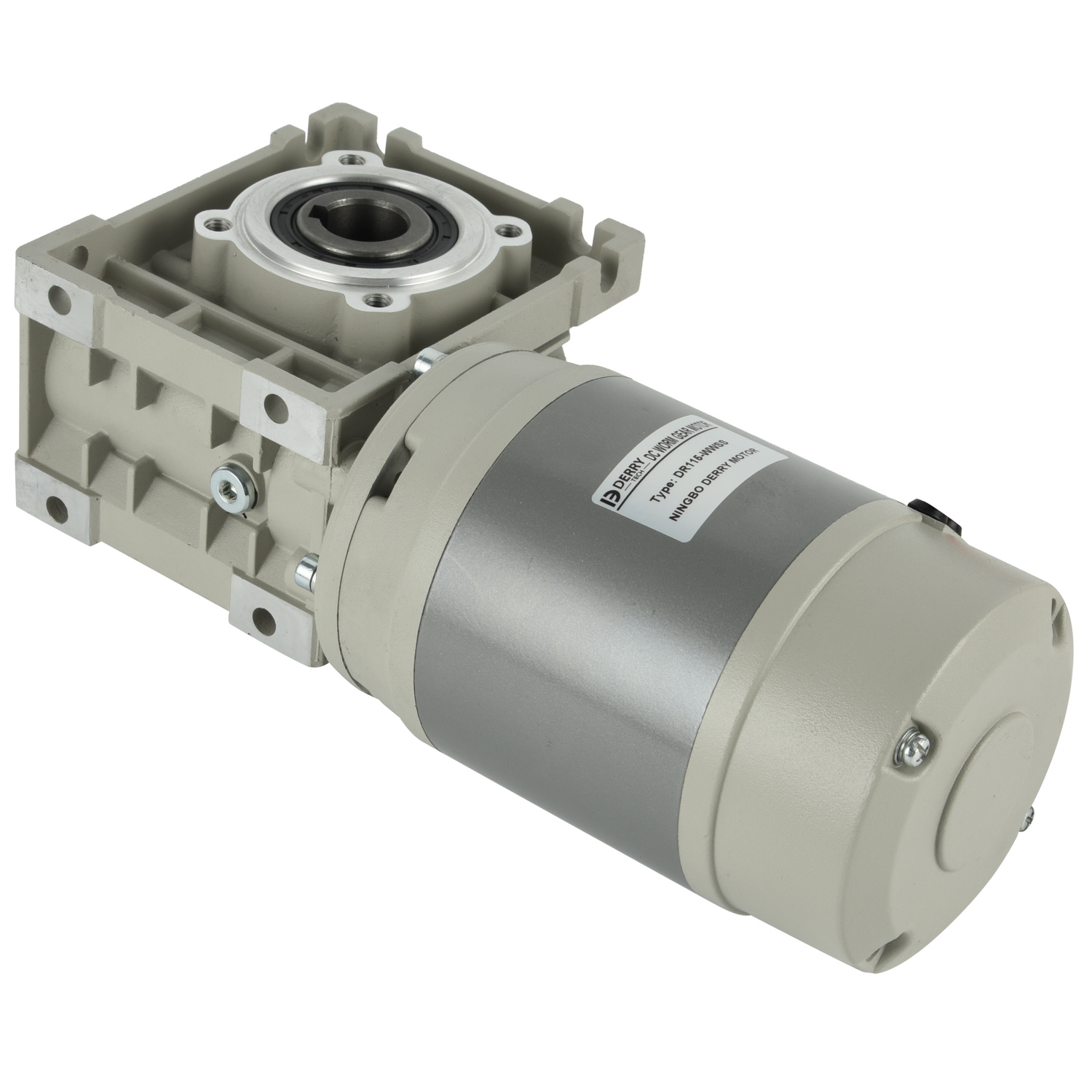 115mm 12V 24V 240W 350W DC Worm Gear Motors for Automatic Tarpaulin Covering Devices