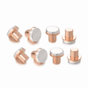 Flat Head Electrical Bimetallic Copper Tungsten Contact Rivets Brass Stamping Terminal Parts Silver Contact