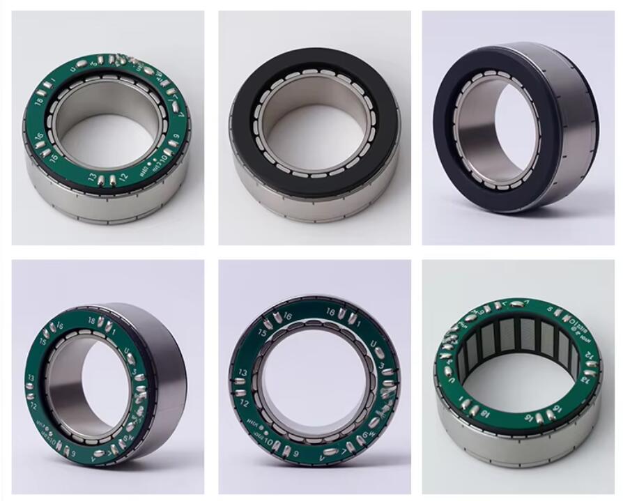 24volt 48volt OEM Customized High Performance Frameless DC Motor