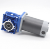 6w-300w Brush DC Electric motor with NMRV30 50 63 75 90 worm gear box with 12V/24V/48V 60mm-104mm DC motor